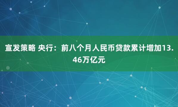 宣发策略 央行：前八个月人民币贷款累计增加13.46万亿元